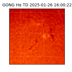 gong - 2025-01-26T16:00:22