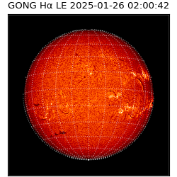 gong - 2025-01-26T02:00:42