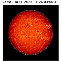 gong - 2025-01-26T03:00:42