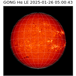 gong - 2025-01-26T05:00:43