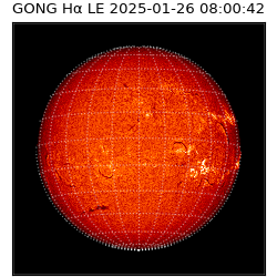 gong - 2025-01-26T08:00:42