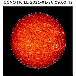 gong - 2025-01-26T09:00:42