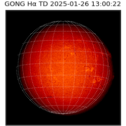 gong - 2025-01-26T13:00:22