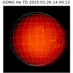 gong - 2025-01-26T14:00:22