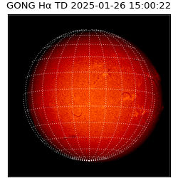 gong - 2025-01-26T15:00:22