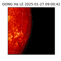 gong - 2025-01-27T09:00:42