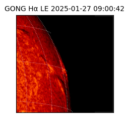 gong - 2025-01-27T09:00:42
