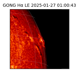 gong - 2025-01-27T01:00:43