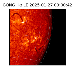 gong - 2025-01-27T09:00:42