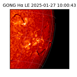 gong - 2025-01-27T10:00:43