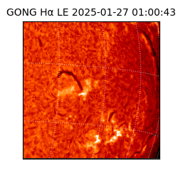 gong - 2025-01-27T01:00:43