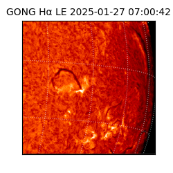 gong - 2025-01-27T07:00:42