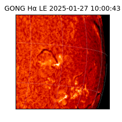 gong - 2025-01-27T10:00:43