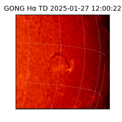gong - 2025-01-27T12:00:22