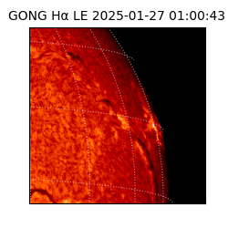 gong - 2025-01-27T01:00:43