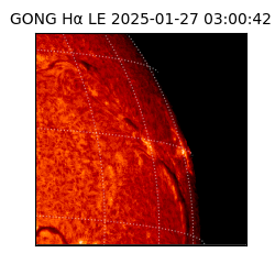 gong - 2025-01-27T03:00:42