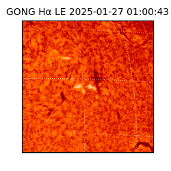 gong - 2025-01-27T01:00:43