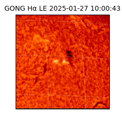 gong - 2025-01-27T10:00:43