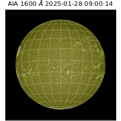 saia - 2025-01-28T09:00:14.126000