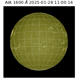 saia - 2025-01-28T11:00:14.125000