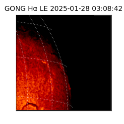 gong - 2025-01-28T03:08:42