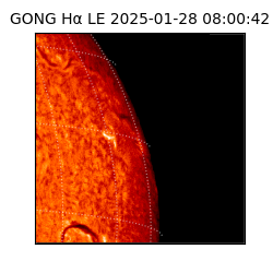 gong - 2025-01-28T08:00:42