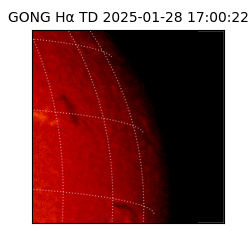 gong - 2025-01-28T17:00:22