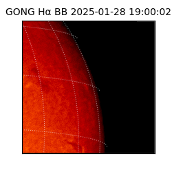 gong - 2025-01-28T19:00:02
