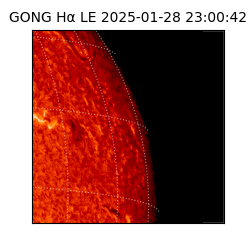 gong - 2025-01-28T23:00:42