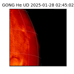 gong - 2025-01-28T02:45:02