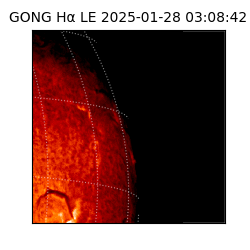 gong - 2025-01-28T03:08:42
