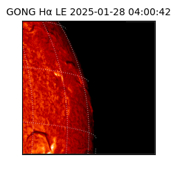 gong - 2025-01-28T04:00:42