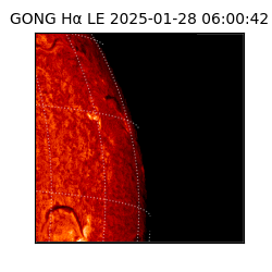 gong - 2025-01-28T06:00:42