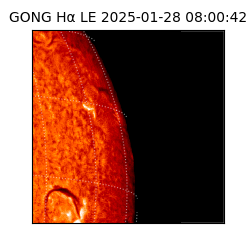 gong - 2025-01-28T08:00:42