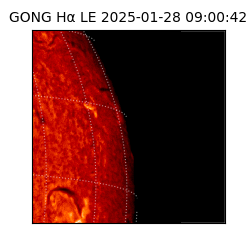 gong - 2025-01-28T09:00:42