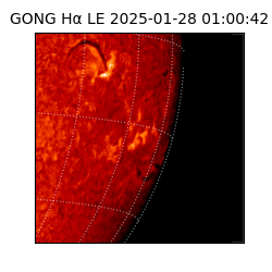 gong - 2025-01-28T01:00:42