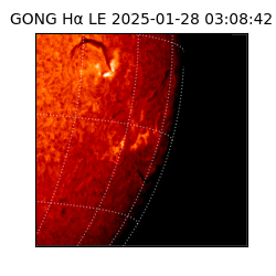 gong - 2025-01-28T03:08:42