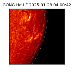 gong - 2025-01-28T04:00:42