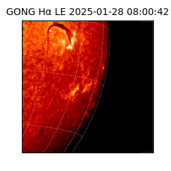 gong - 2025-01-28T08:00:42