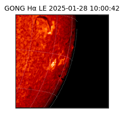 gong - 2025-01-28T10:00:42