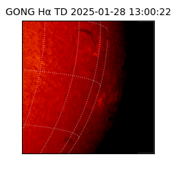 gong - 2025-01-28T13:00:22