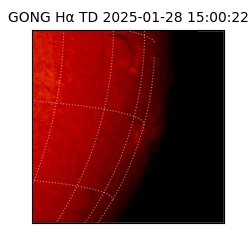 gong - 2025-01-28T15:00:22