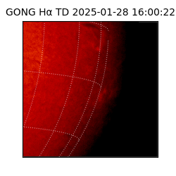 gong - 2025-01-28T16:00:22