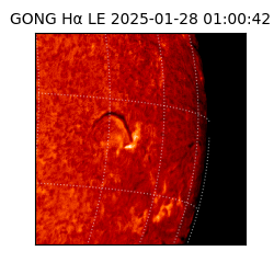 gong - 2025-01-28T01:00:42