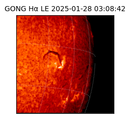 gong - 2025-01-28T03:08:42