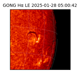 gong - 2025-01-28T05:00:42