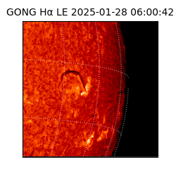 gong - 2025-01-28T06:00:42