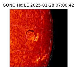 gong - 2025-01-28T07:00:42