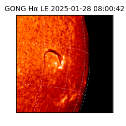 gong - 2025-01-28T08:00:42
