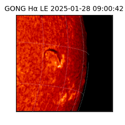 gong - 2025-01-28T09:00:42